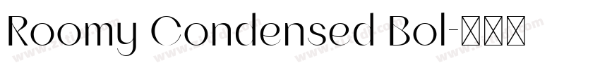 Roomy Condensed Bol字体转换